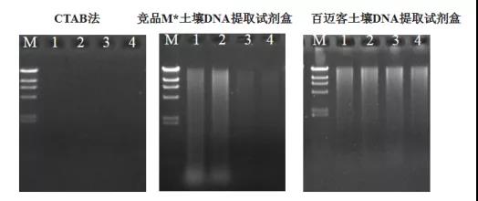 小機(jī)潤(rùn)滑濾芯